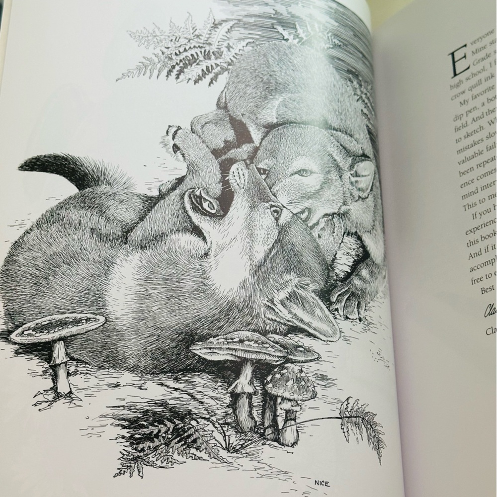 SIGNED Drawing In Pen & Ink Claudia Nice First Steps Series Paperback Book - Picture 3 of 10